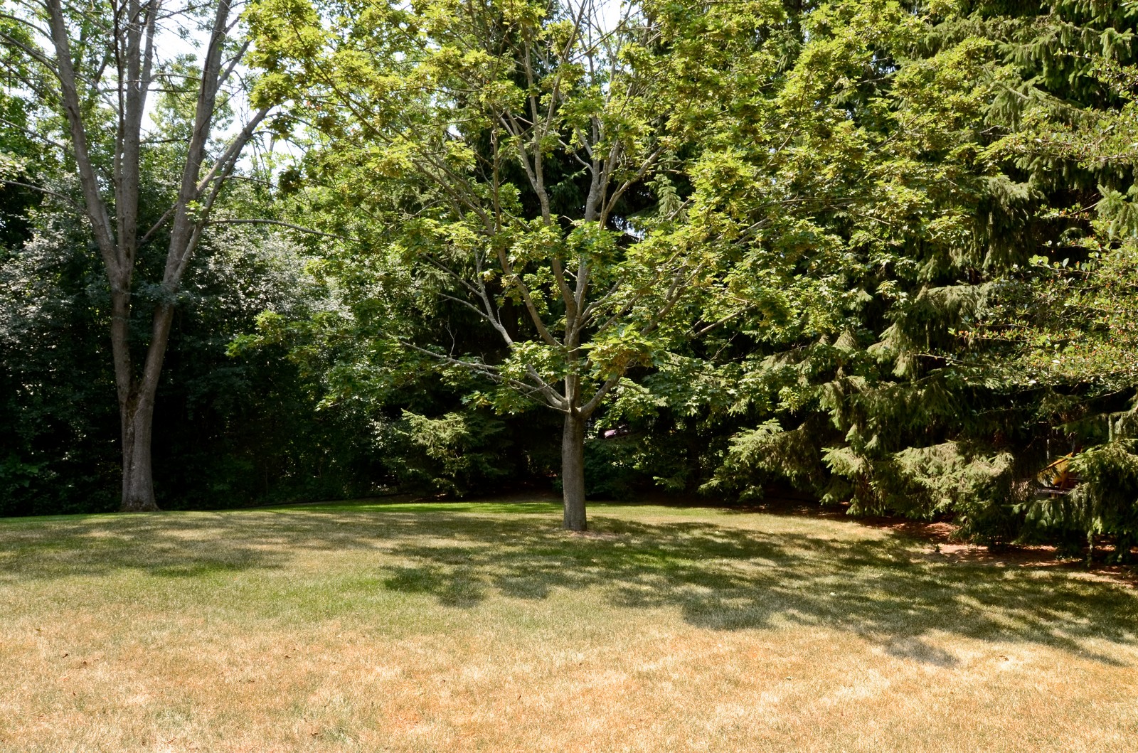 1445 E. Goodrich Lane, Fox Point, WI, 53217 Virtual Tour Coldwell