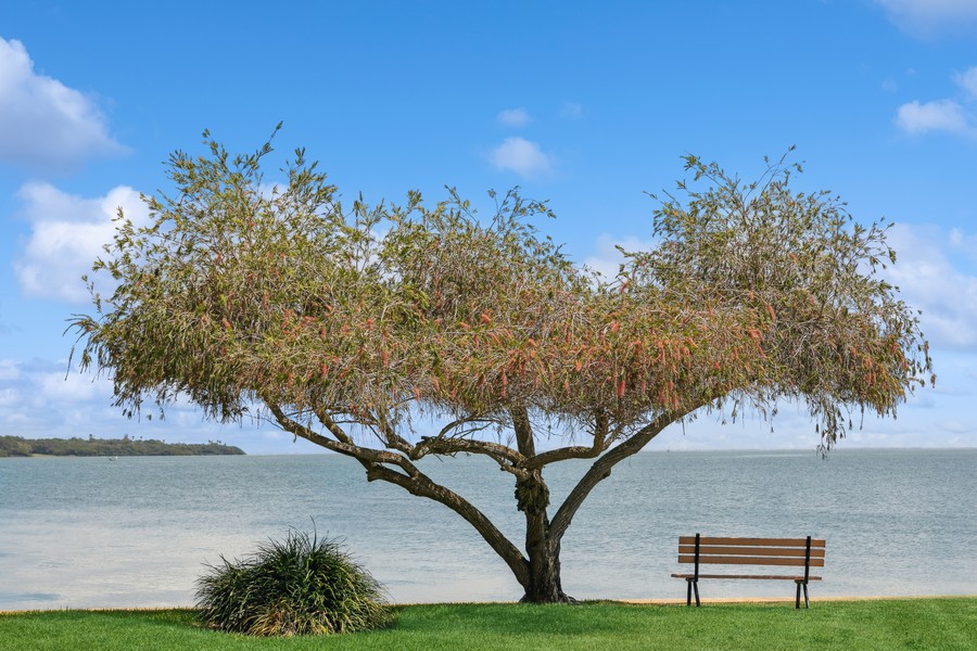 Real Estate Photography - 7432 Sunshine Skyway Lane S, St. Petersburg, FL, 33711 - 
