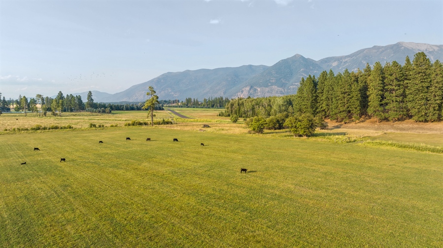 895 Middle Road, Columbia Falls, MT, 59912 | Virtual Tour